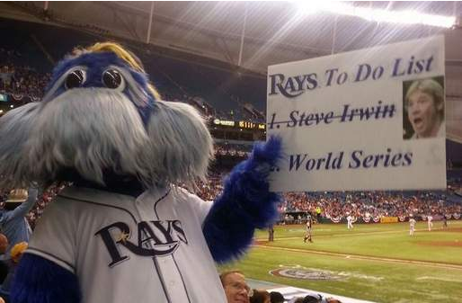Tampa Bay Rays mascot holds up controversial sign, organization apologizes 