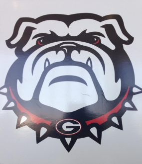 Georgia Bulldogs unveils new 